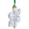Annual Edition Ornament 2026