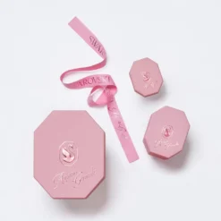 Ariana Grande x Swarovski clip earrings
