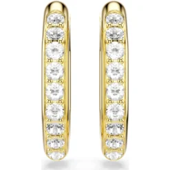 Dextera hoop earrings