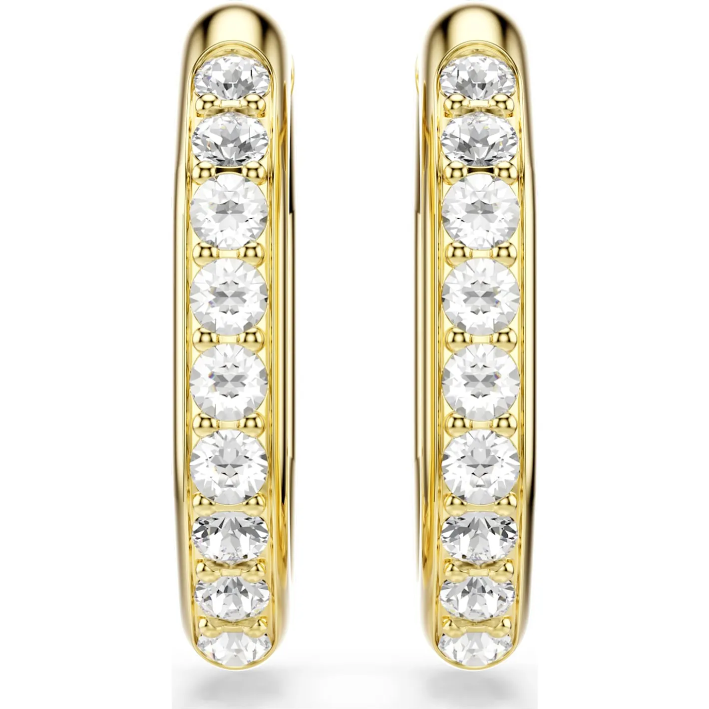 Dextera hoop earrings