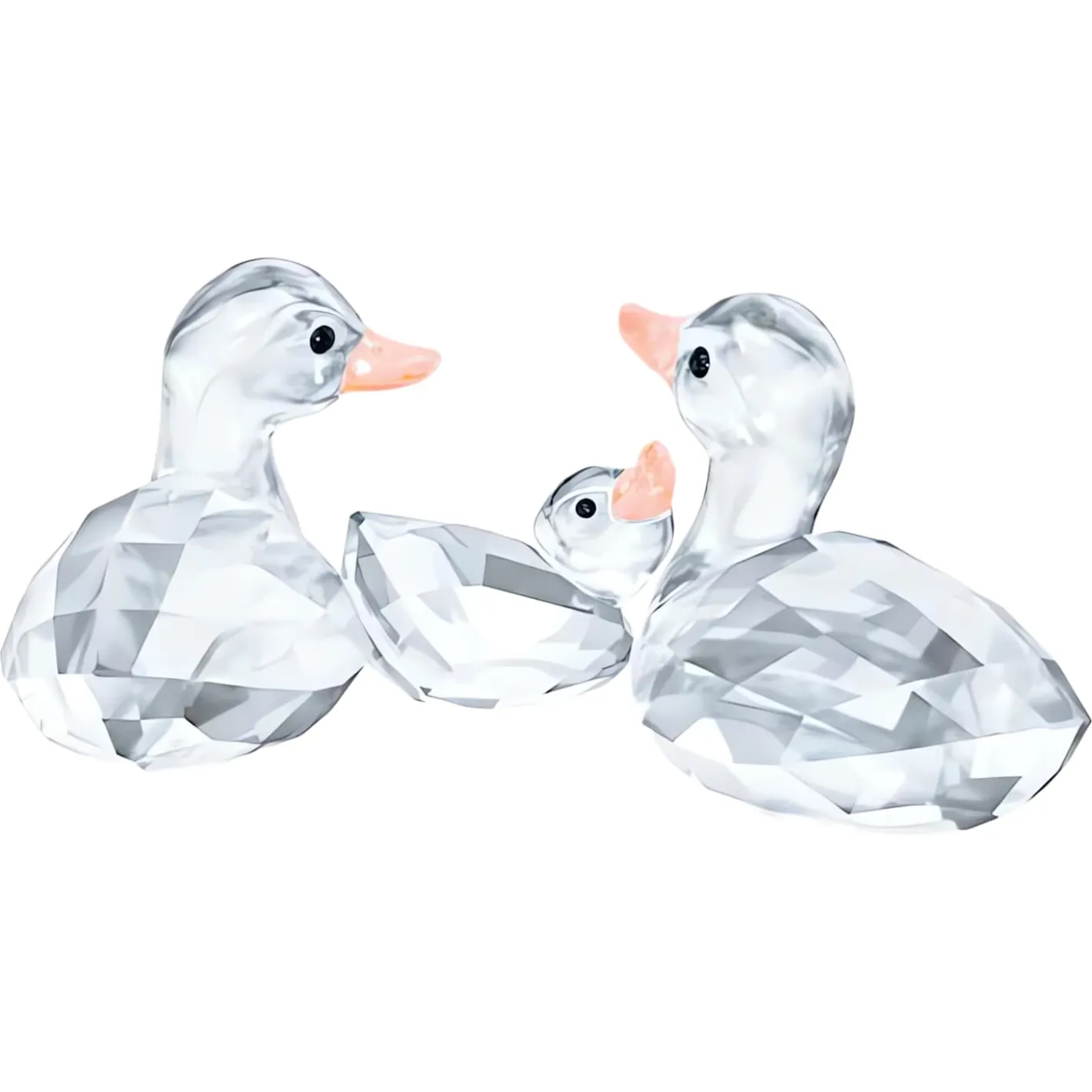 Ducks