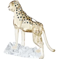 Elegance of Africa SCS Cheetah Baby Jabari
