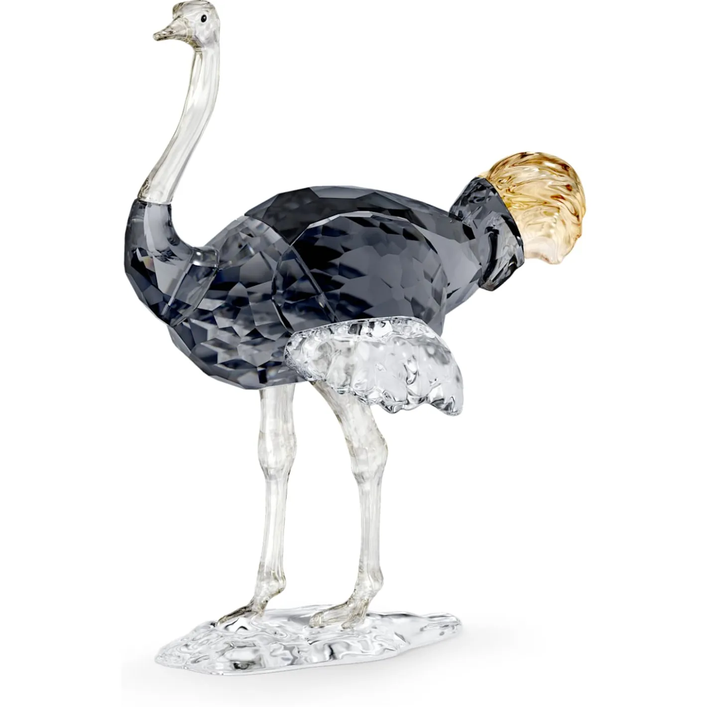 Elegance of Africa SCS Ostrich Makena