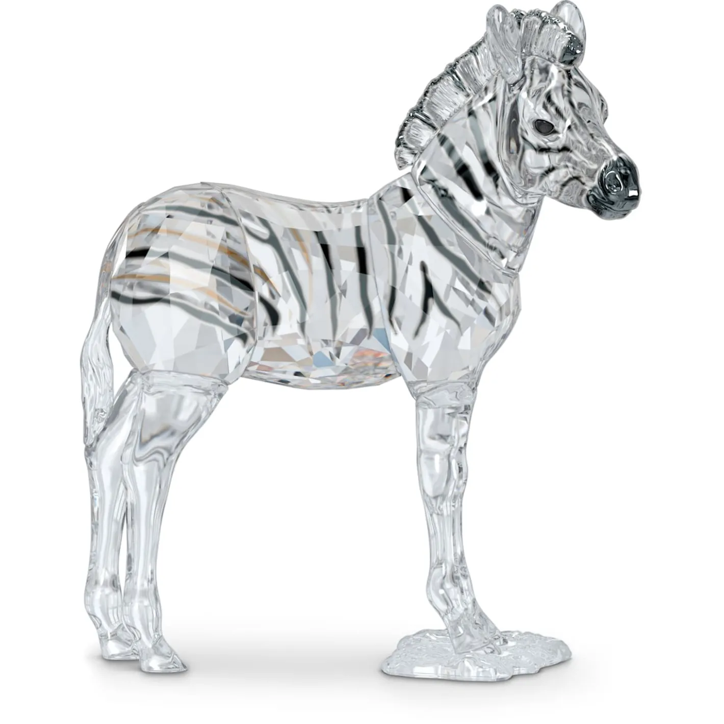 Elegance of Africa SCS Zebra Baby Zuri