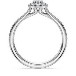 Eternity halo solitaire ring