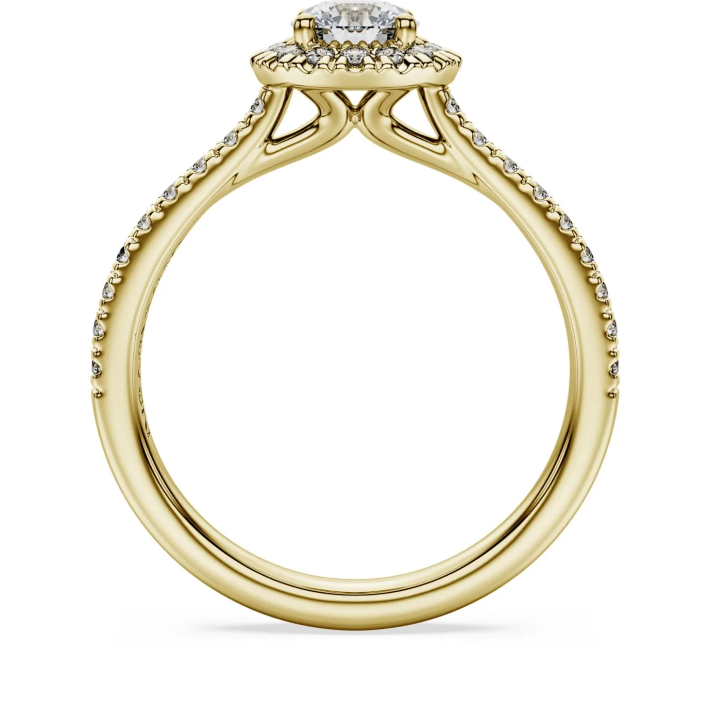 Eternity halo solitaire ring