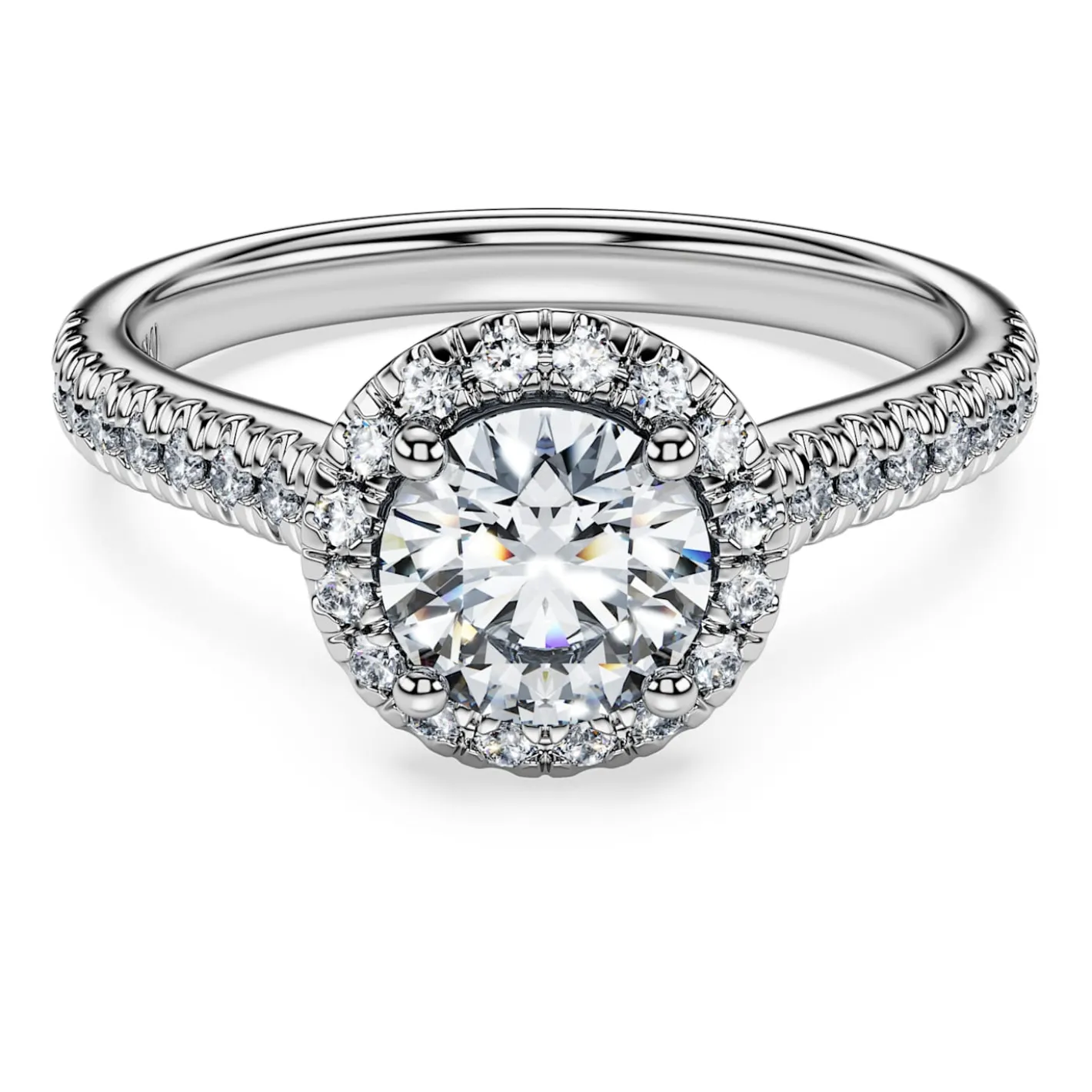 Eternity halo solitaire ring