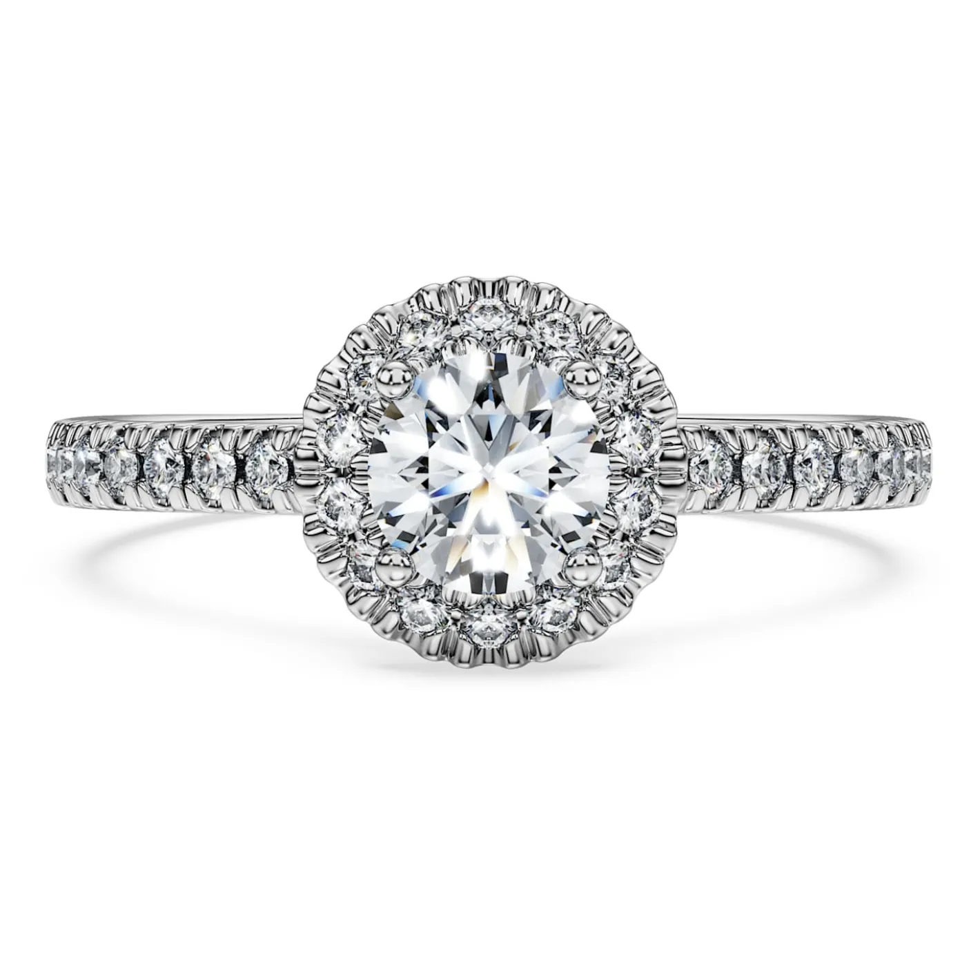 Eternity halo solitaire ring