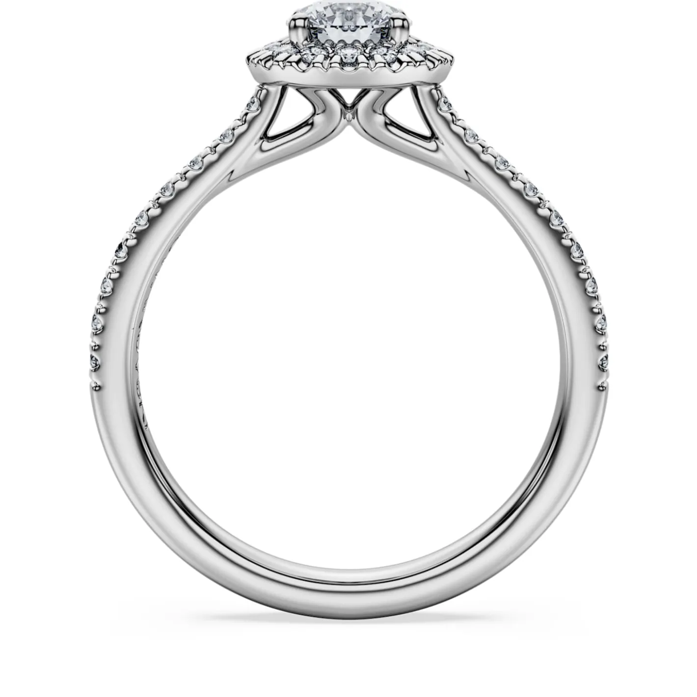 Eternity halo solitaire ring