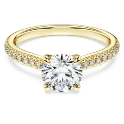 Eternity solitaire ring