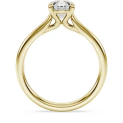 Eternity solitaire ring