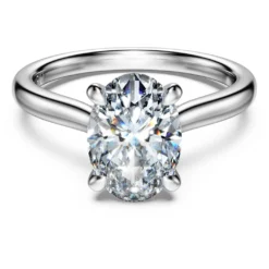 Eternity solitaire ring