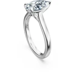 Eternity solitaire ring