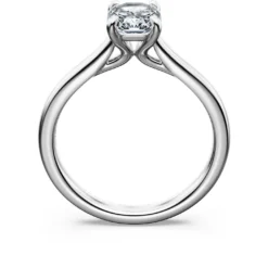 Eternity solitaire ring