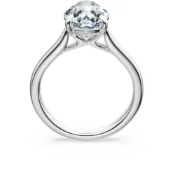 Eternity solitaire ring