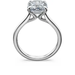 Eternity solitaire ring