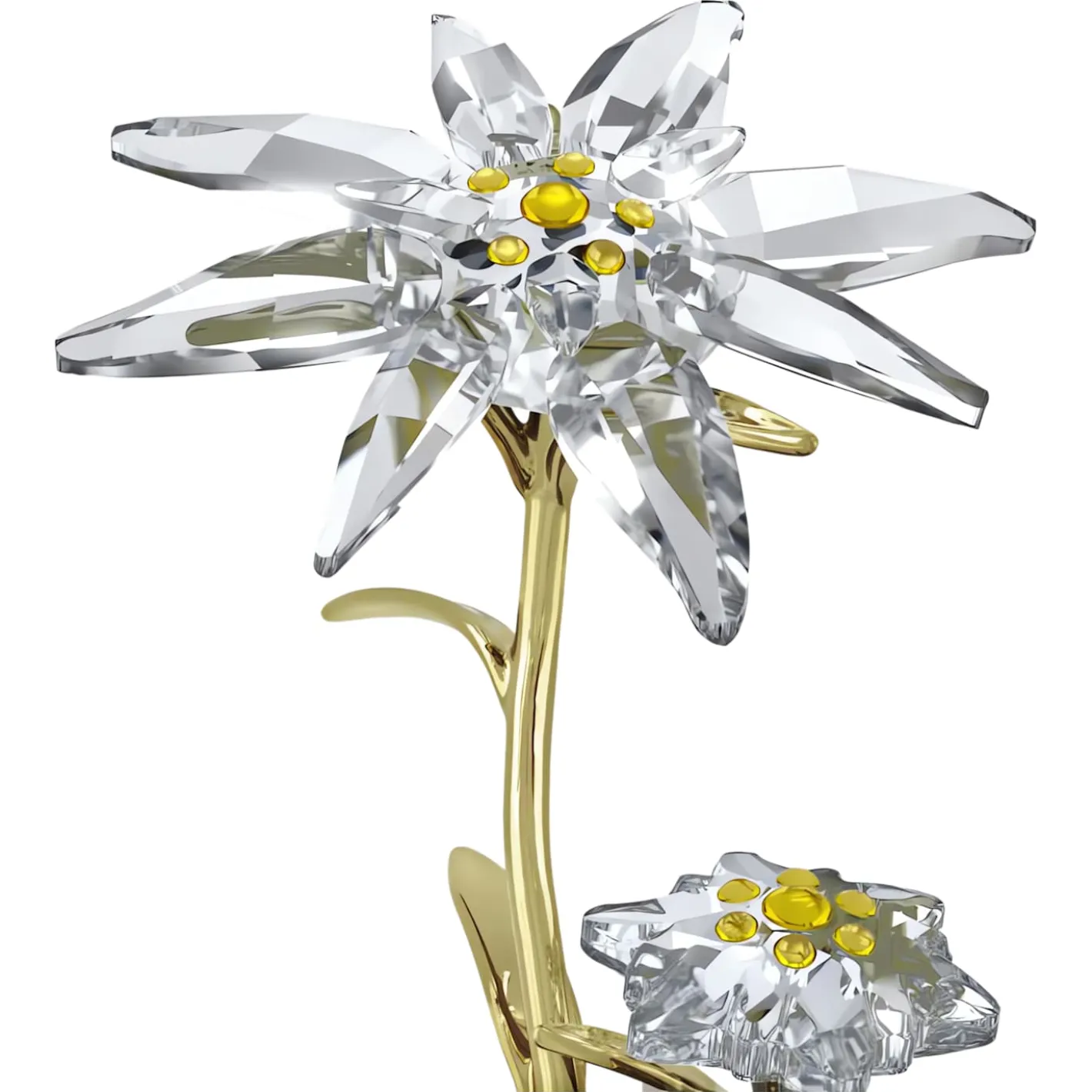 Florere 130th Anniversary Bell Jar