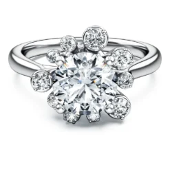 Galaxy ring