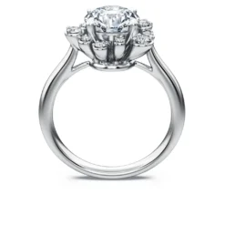 Galaxy ring
