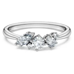 Galaxy ring