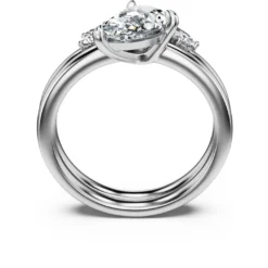 Galaxy ring