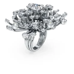 Galaxy ring