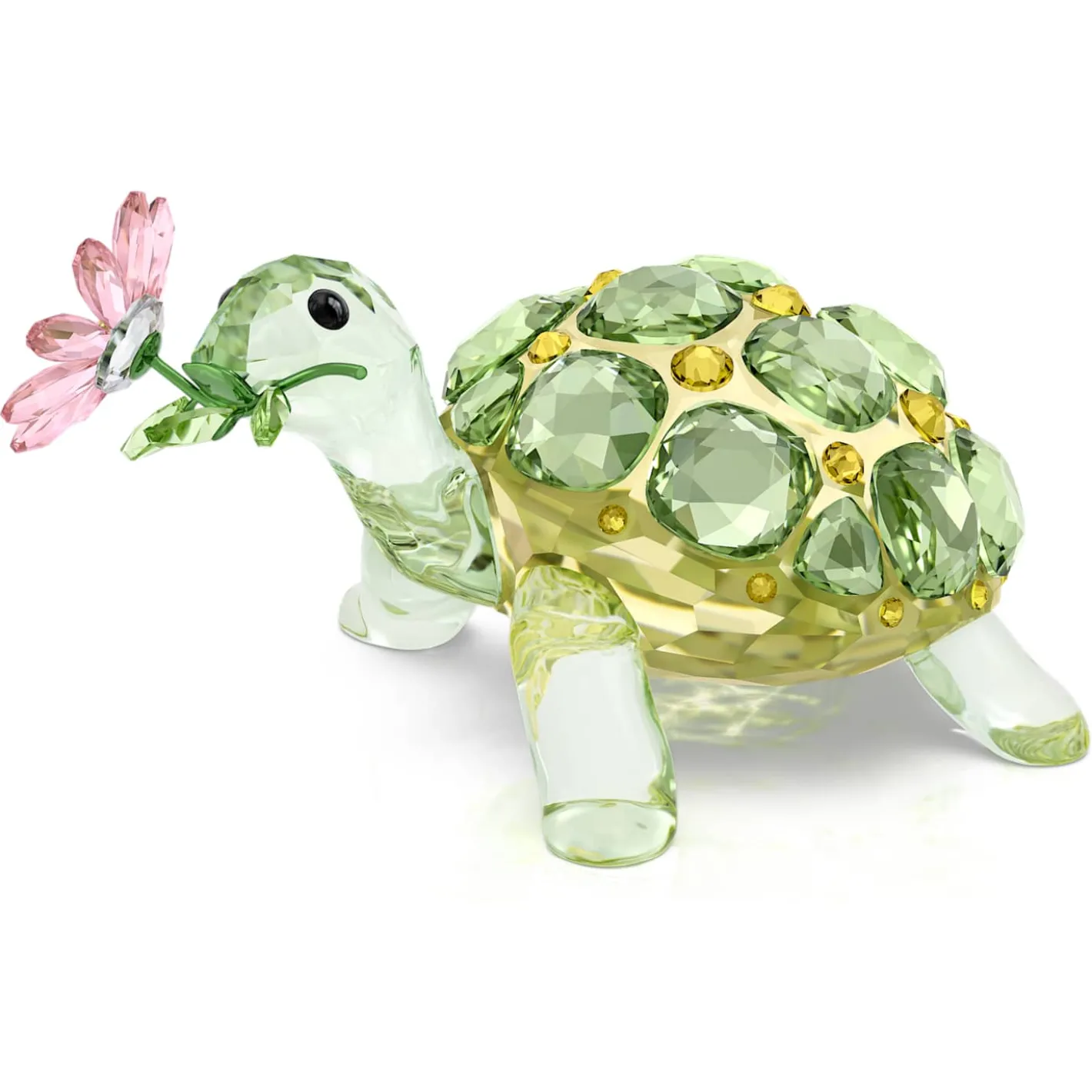 Idyllia Tortoise and Daisy