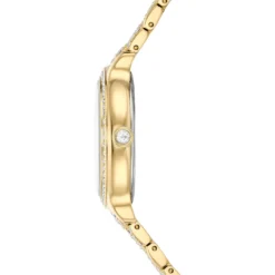 Imber watch